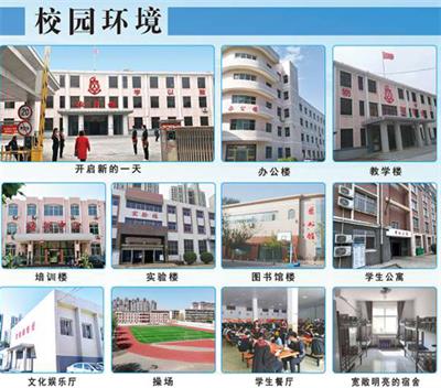 河北省交通职业技术学校有邮轮乘务管理专业吗？  